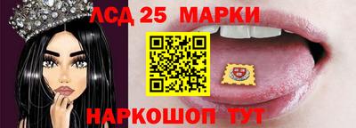спиды Кимры