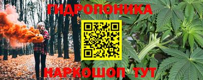 спиды Кимры